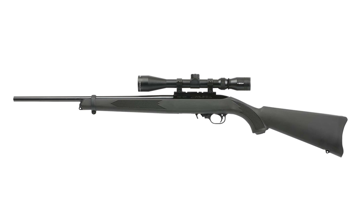 The Ruger 10/22 is on sale at Bass Pro