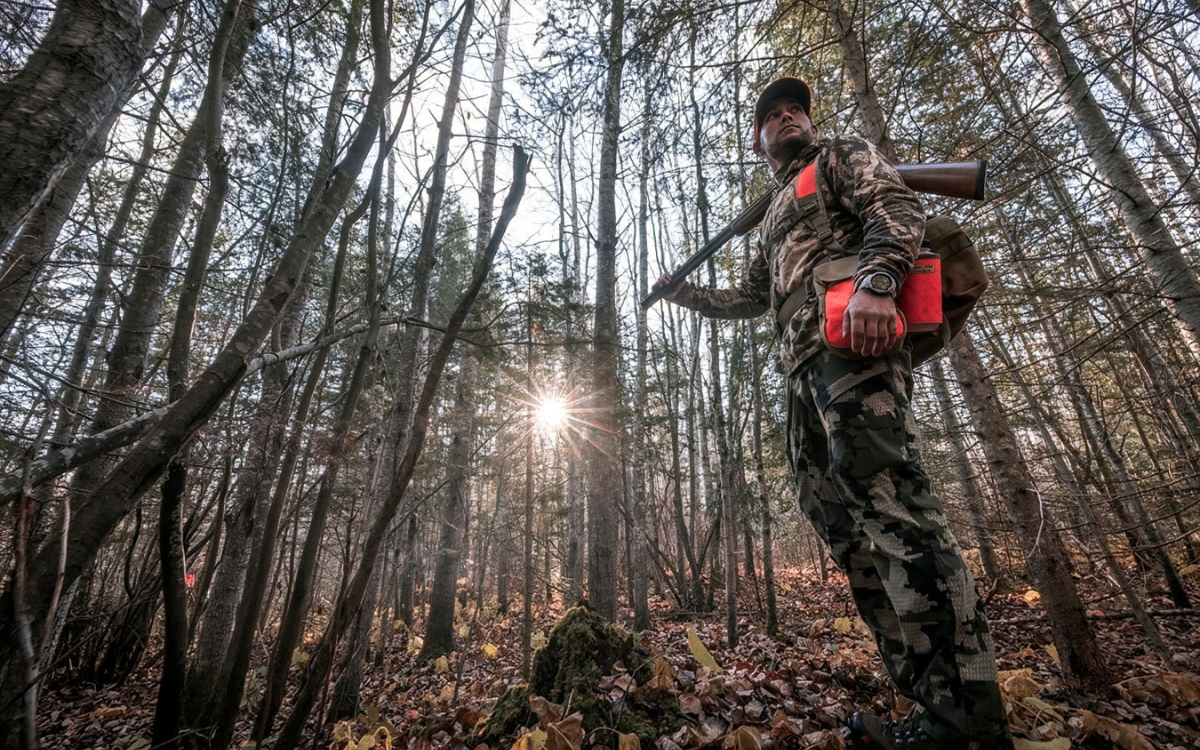 How to Find and Hunt Grouse in Successional Habitat