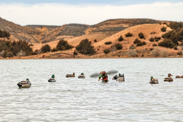 best motion duck decoys