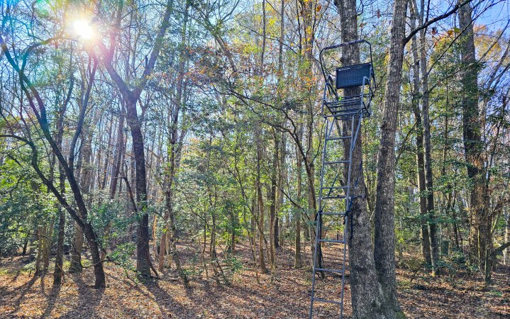 The author tested three of the best ladder stands costing under $350.