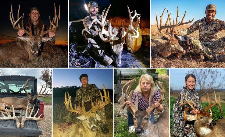 A collage of big bucks from 2024.