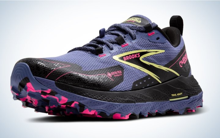  We tested the Brooks Cascadia 18 GTX.