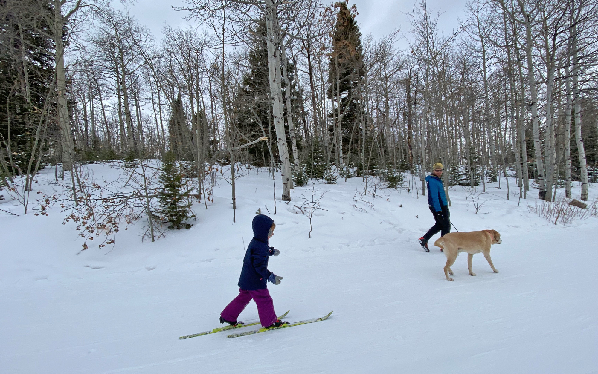 A family cross country skis.