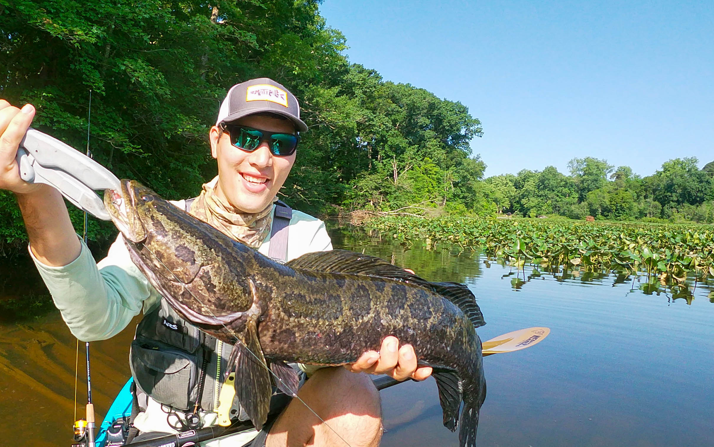 A snakehead caught in Virginia by the author.