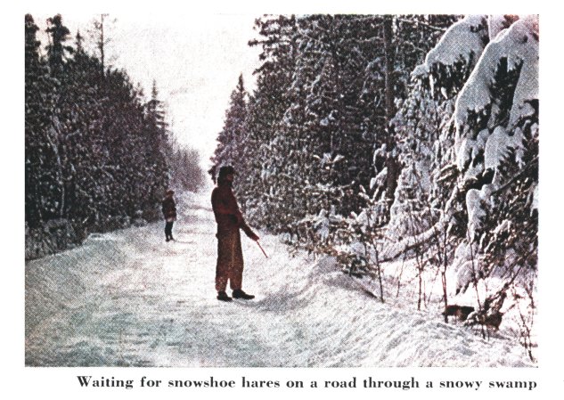 Two hunters stand in a snowy road with a beagle.