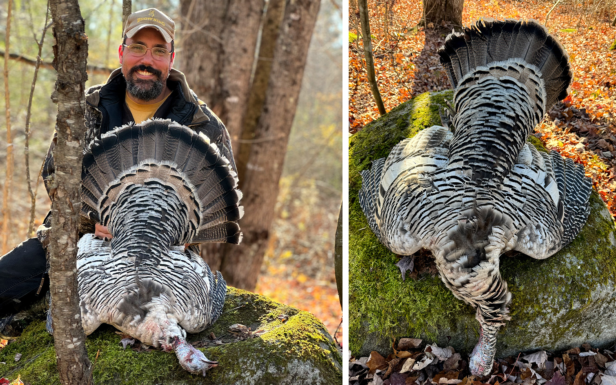 Vermont Hunter Ends 4-Year Chase for Rare Smoke-Phase Turkey