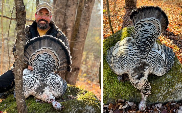 A Vermont hunter with a rare smoke-phase turkey.