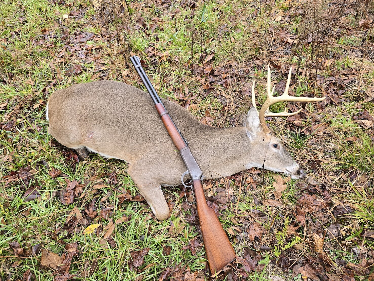 A 10-point buck lays in the leaves with a lever-action Winchester Model 94 laid across its flank.