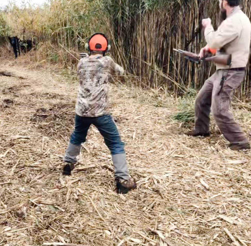 A young boy aims a rifle at a large black bear emerging from a patch of tall, thick reeds.