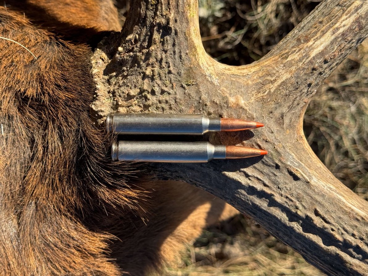 A pair of 7mm Backcountry rounds on an elk antler