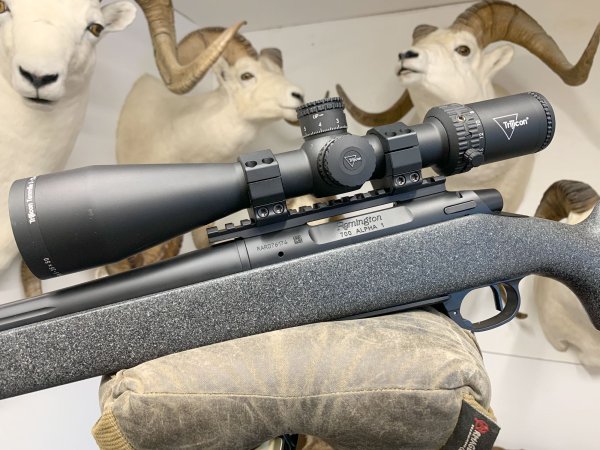 The Remington 700 Alpha 1 Hunter in 6.5 Creedmoor