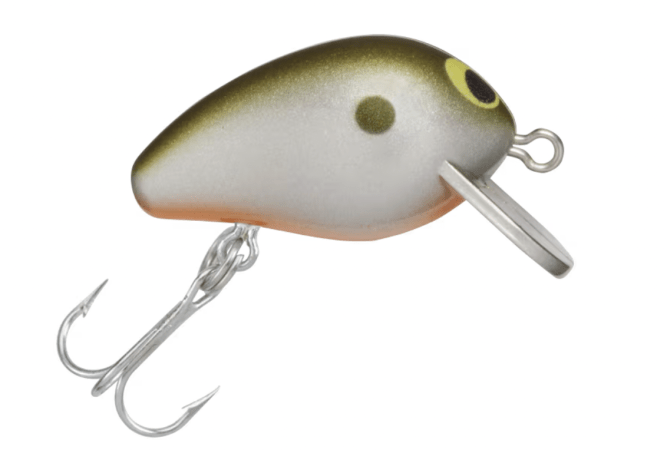  crankbait