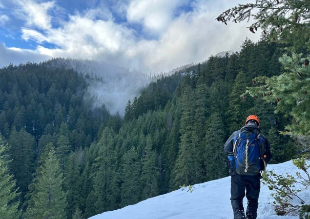 SAR personnel traverse a snowy field in the Gifford Pinchot NF