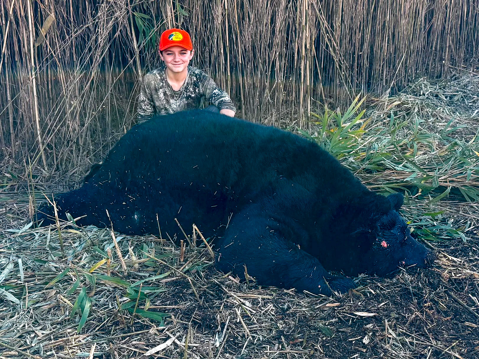 A young boy in a blaze orange hat poses with a large black bear.