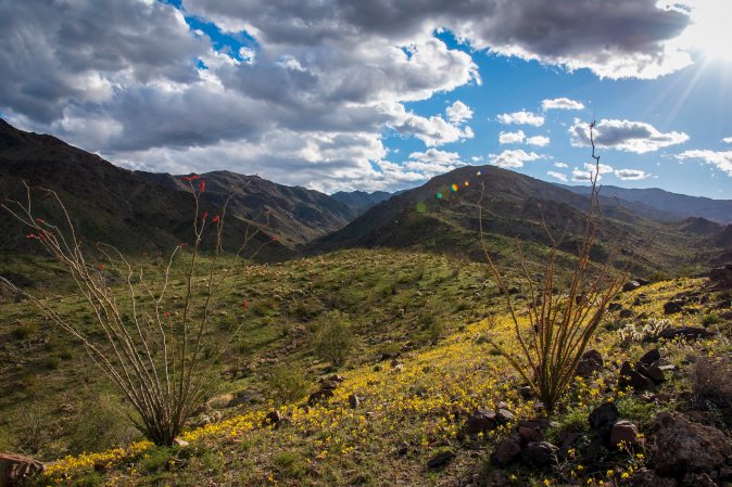 A canyon in the Chuckwalla Mountains.