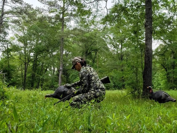 A woman in green camo holding a shotgun sets up a hen turkey decoy in a bright green grassy clearing.