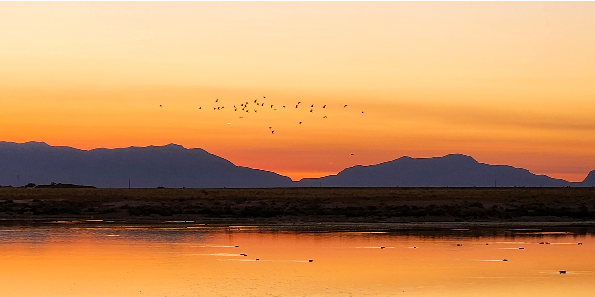 ‘Record-Breaking Levels’ of Forever Chemicals at New Mexico Lake Trigger Sweeping Health Advisory for Duck Hunters