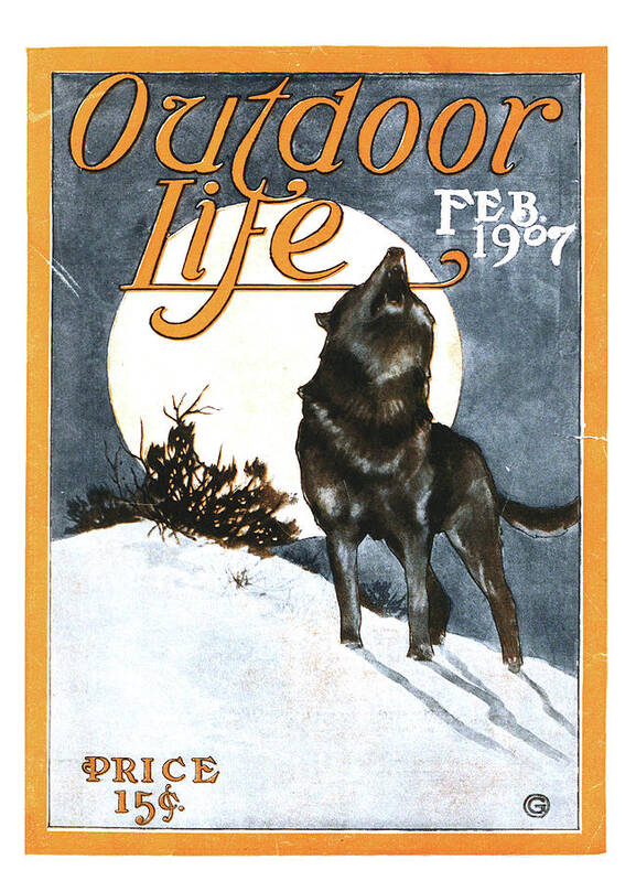 An old Outdoor Life cover of a howling wolf.