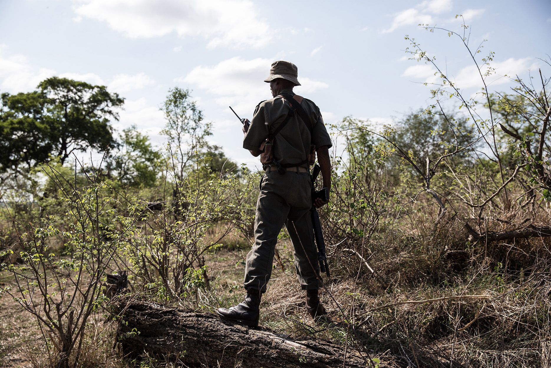 Hunting for Poachers Amid South Africa’s Bloody Wildlife War