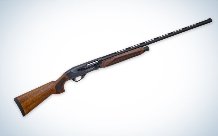  A wood-stocked weatherby element 2