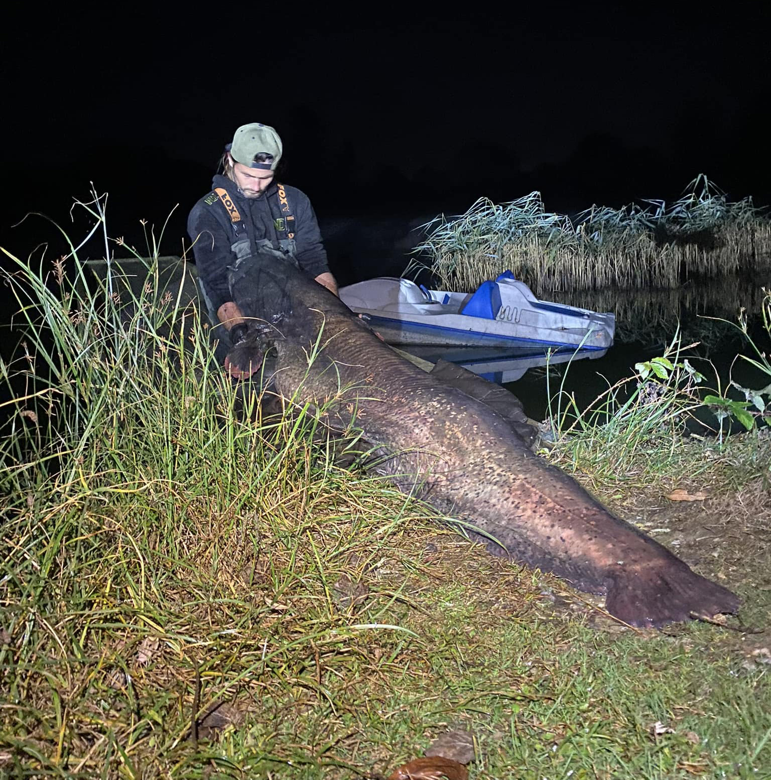 Shaun Ing with a big catfish caught in the UK