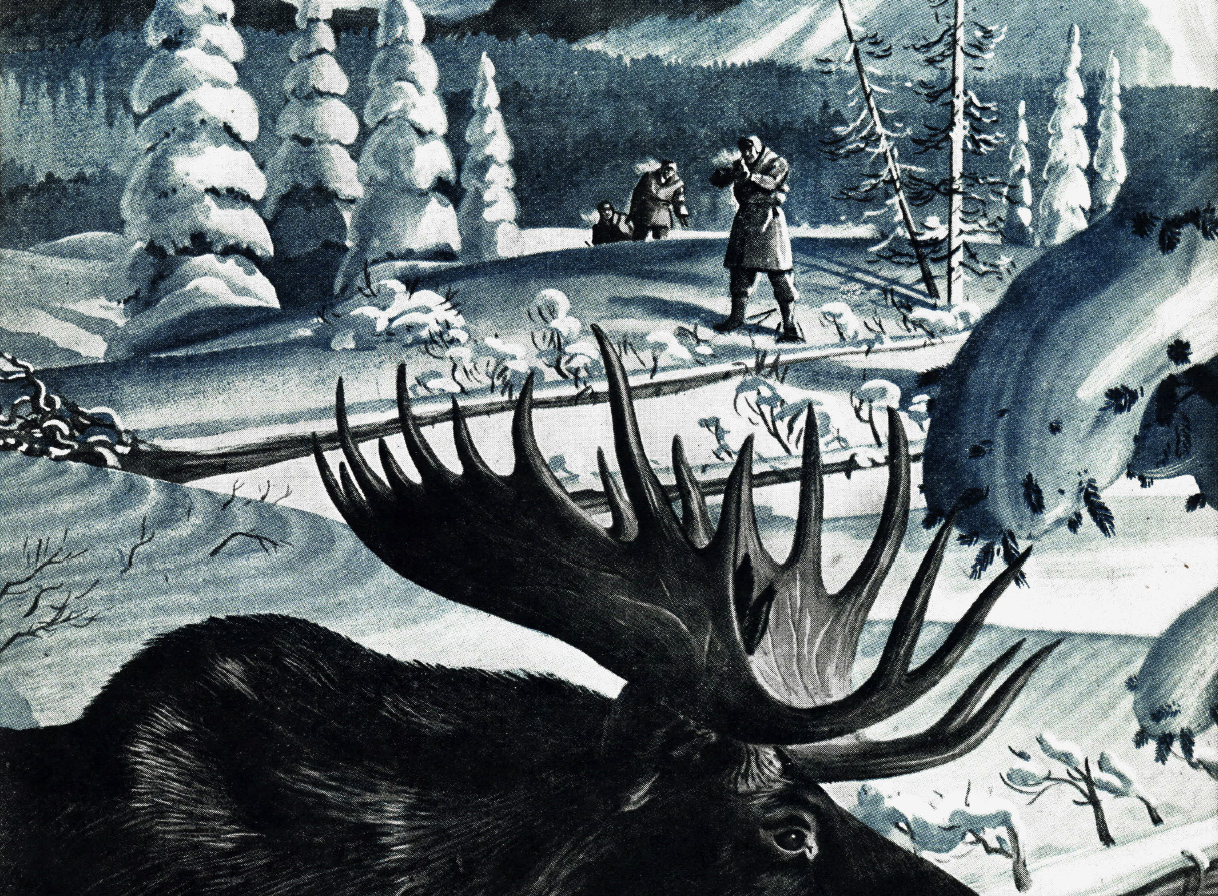 An illustration of a hunter about to shoot a bull moose.