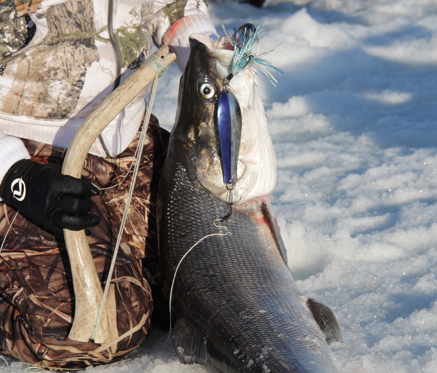 ice fishing sheefish