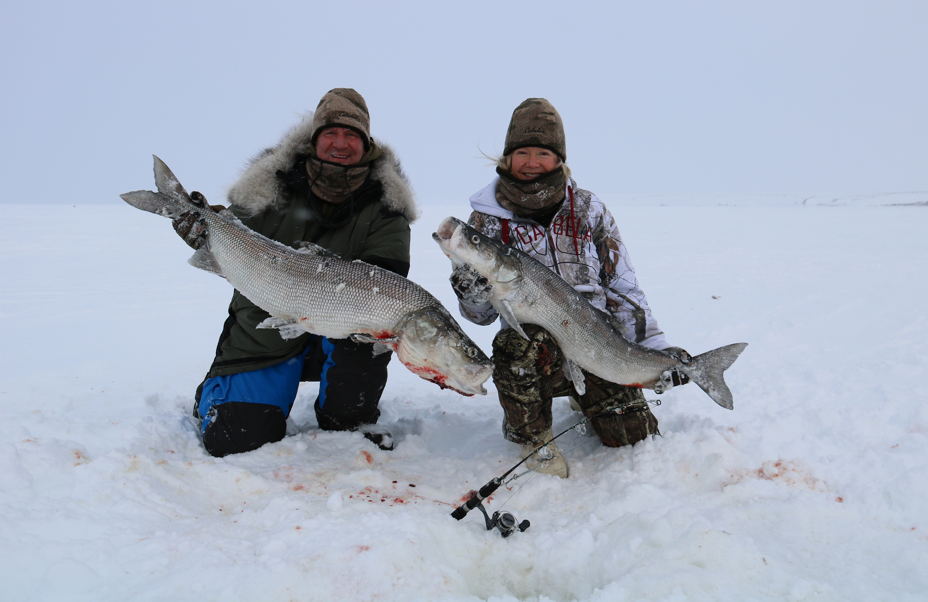 Ice Fishing for Giant Sheefish in the Arctic Is a True Winter Adventure