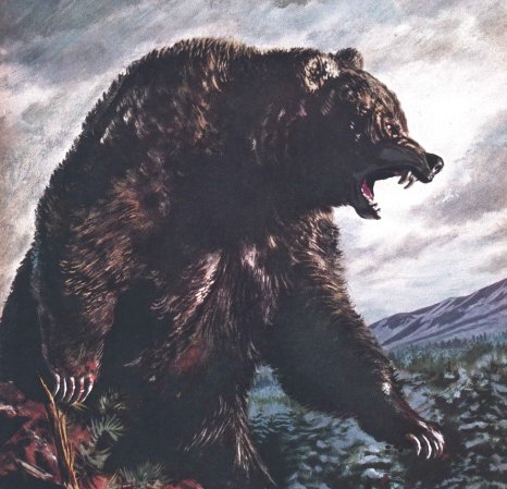 A bear snarls in an illstration.