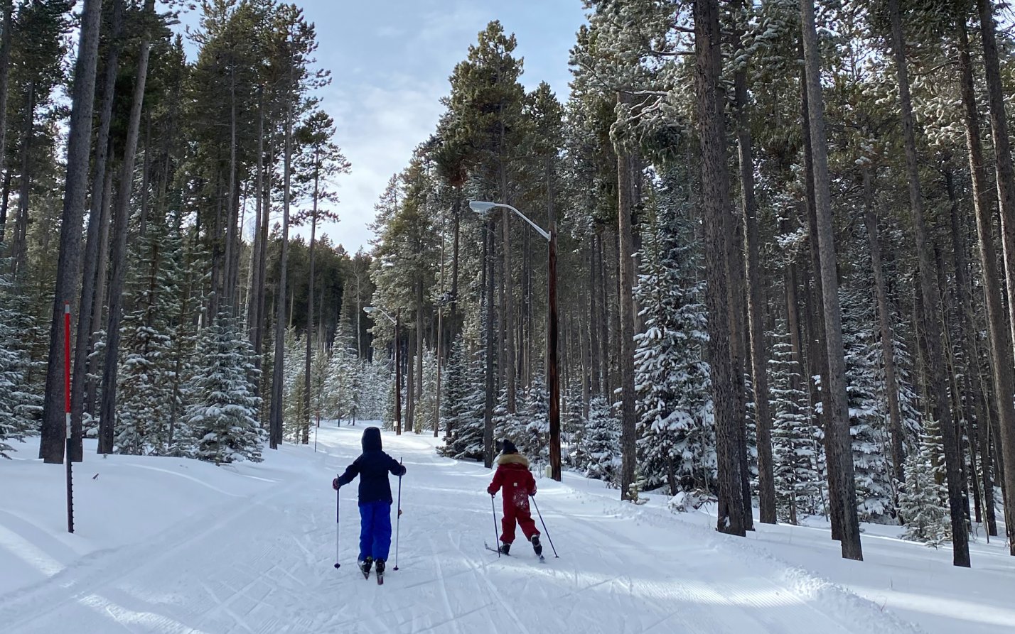 We tested the best cross country skis for beginners.