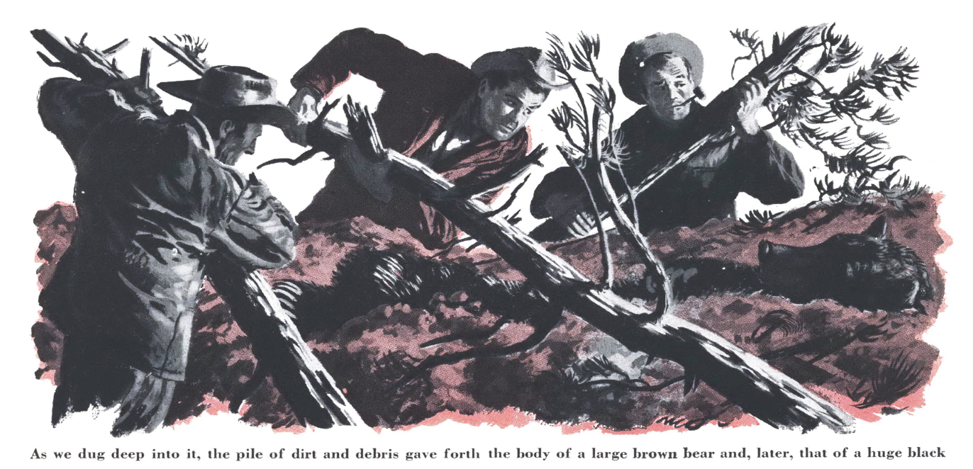 Three men clear a bear den in an illustration