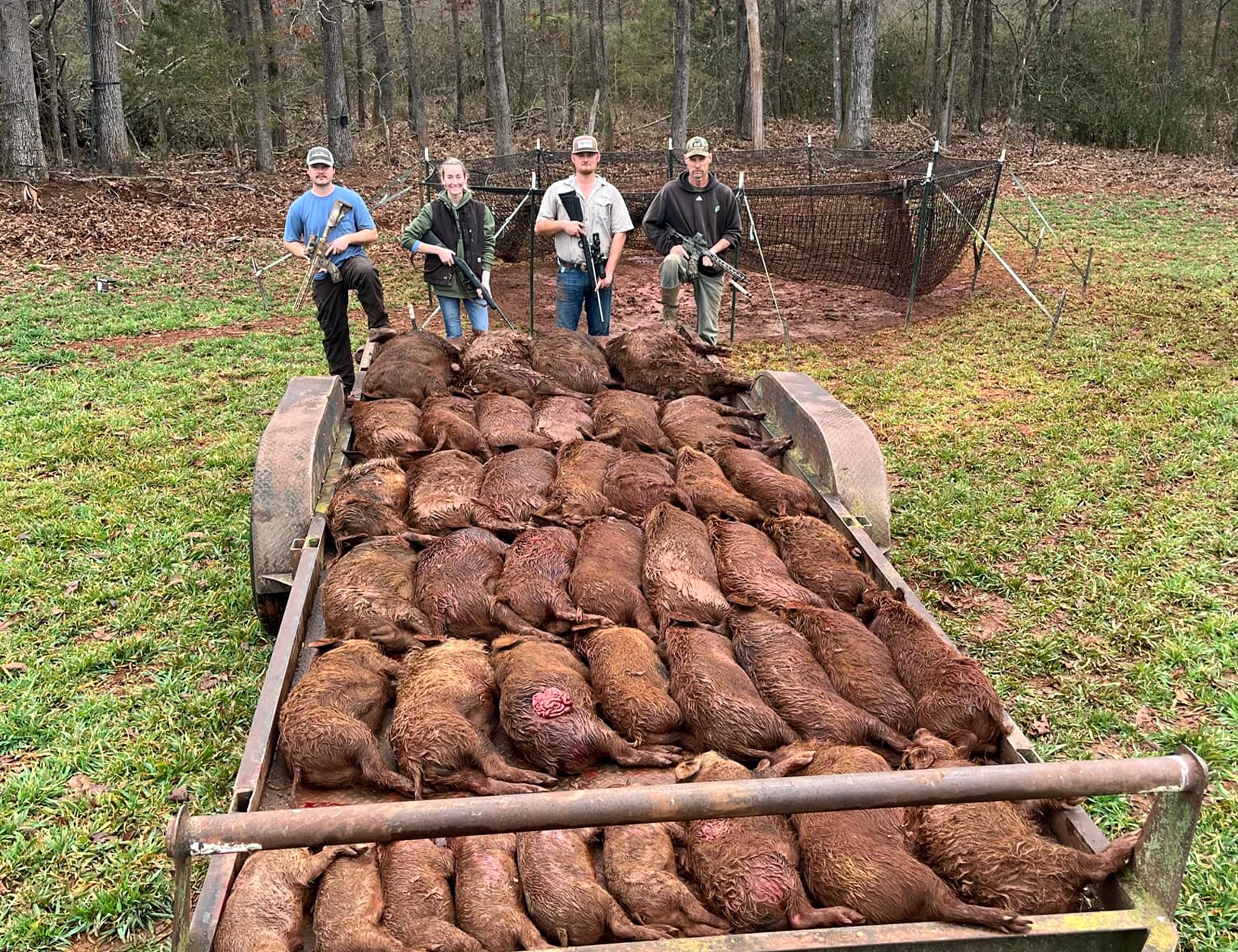 Hog Trappers Removed 41 Destructive Feral Pigs in One Go. Here’s How They Did It