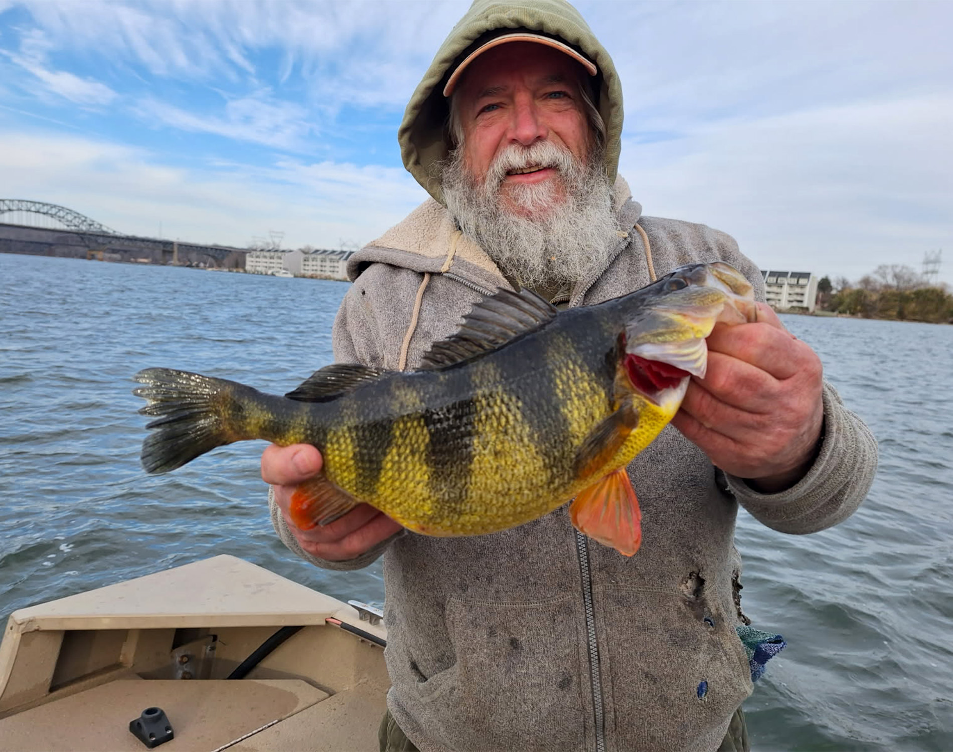 ‘Big as a Yellow Submarine.’ Yellow Perch Caught in the Tidewater Breaks 46-Year-Old Maryland Record