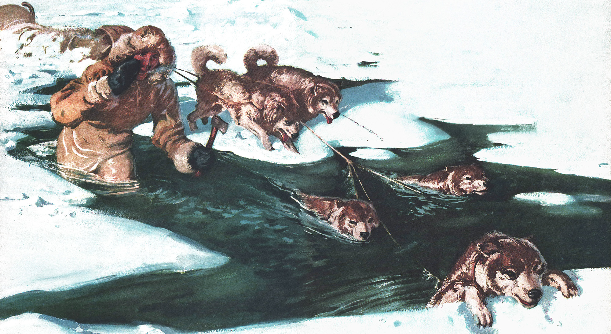 A sled dog team falls through thin ice in an illustration