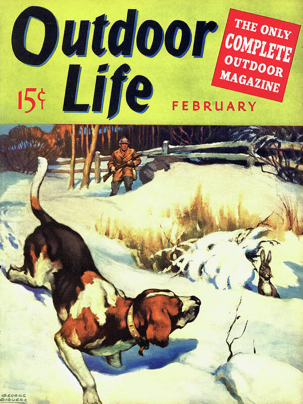 An old outdoor life cover of a beagle and a rabbit huner