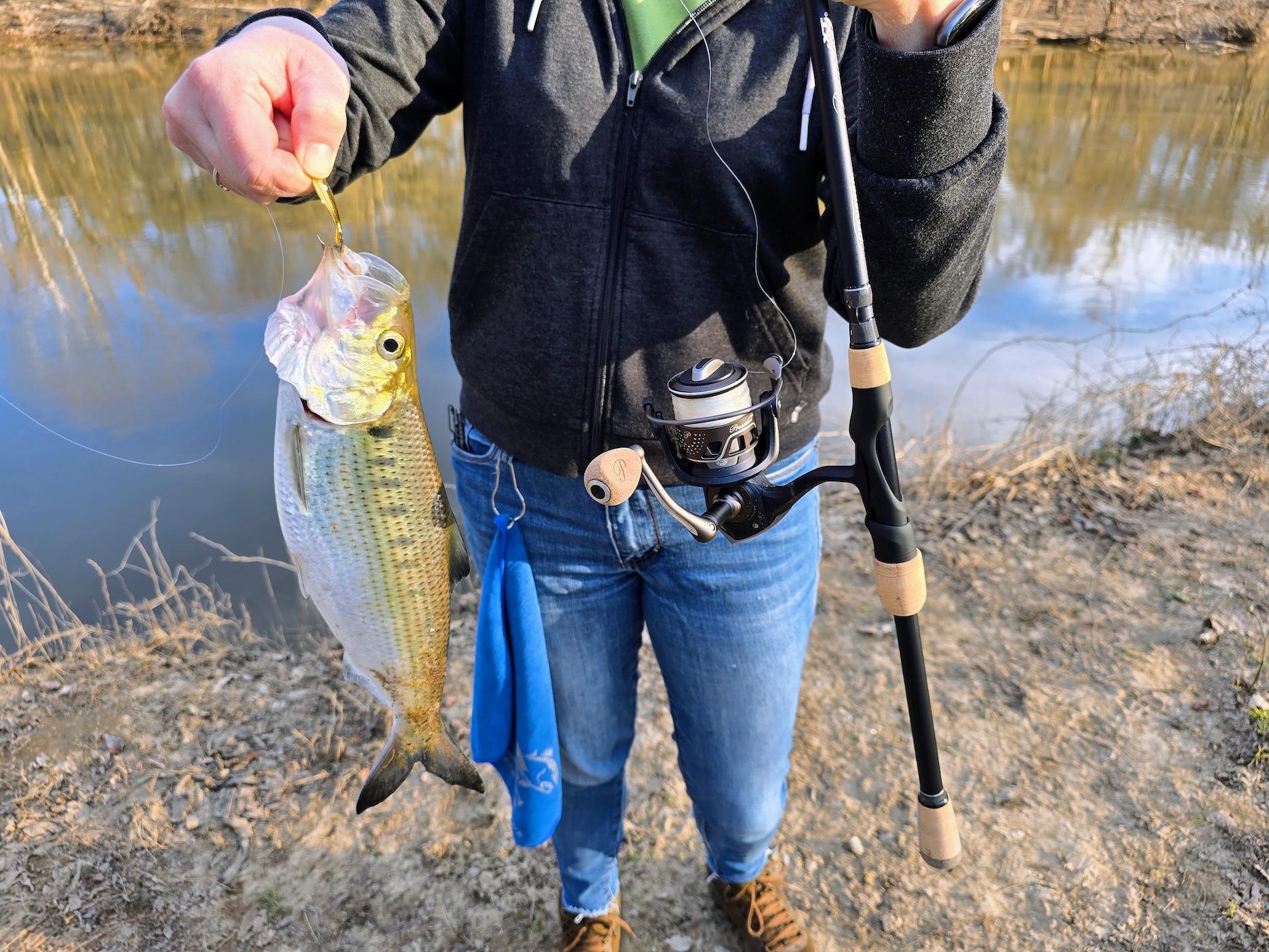 A woman holds up a hickory shad that she caught with a spinning reel.