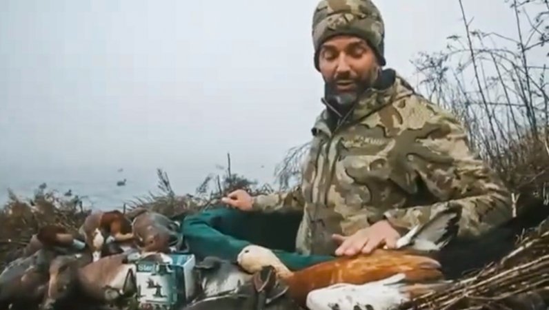 A screenshot of Don Jr. or Donald Trump Jr. beside a ruddy shelduck.