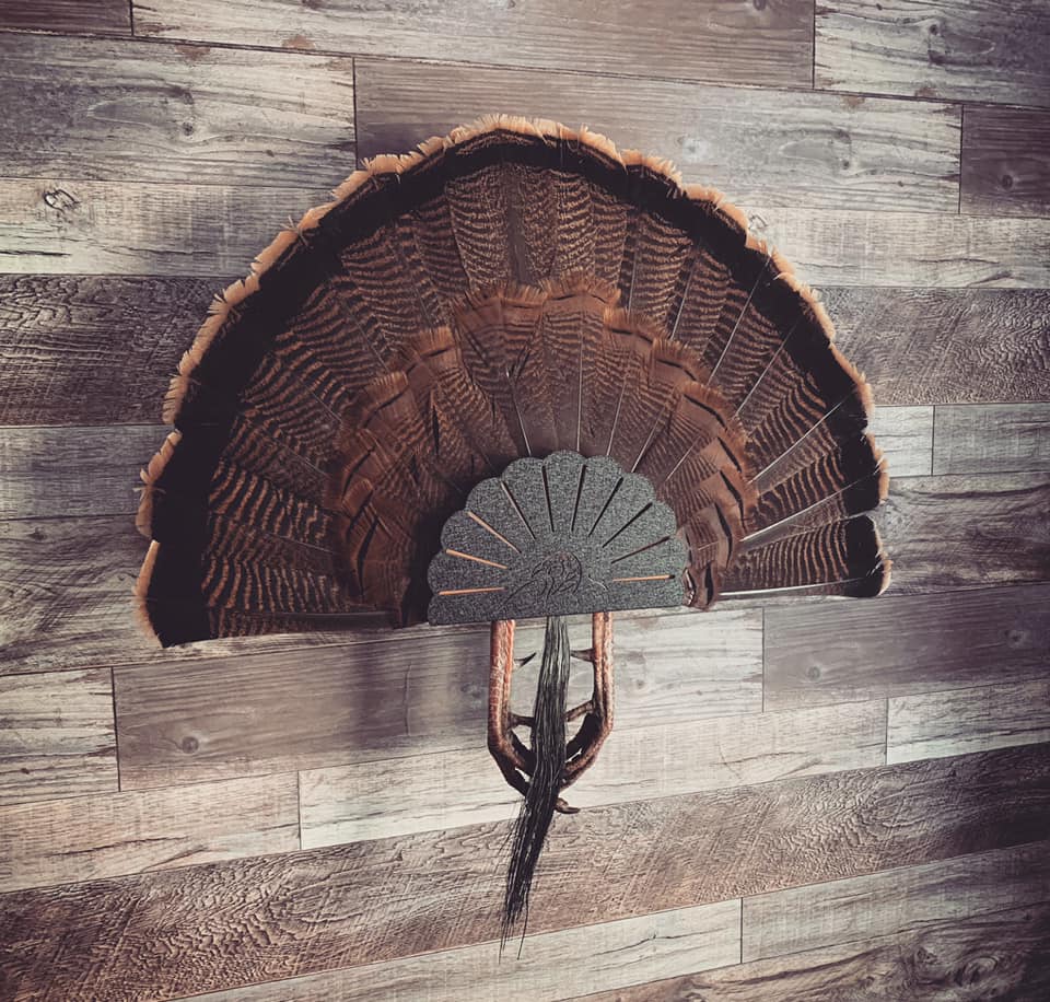 Best Turkey Fan Mount Kits of 2025