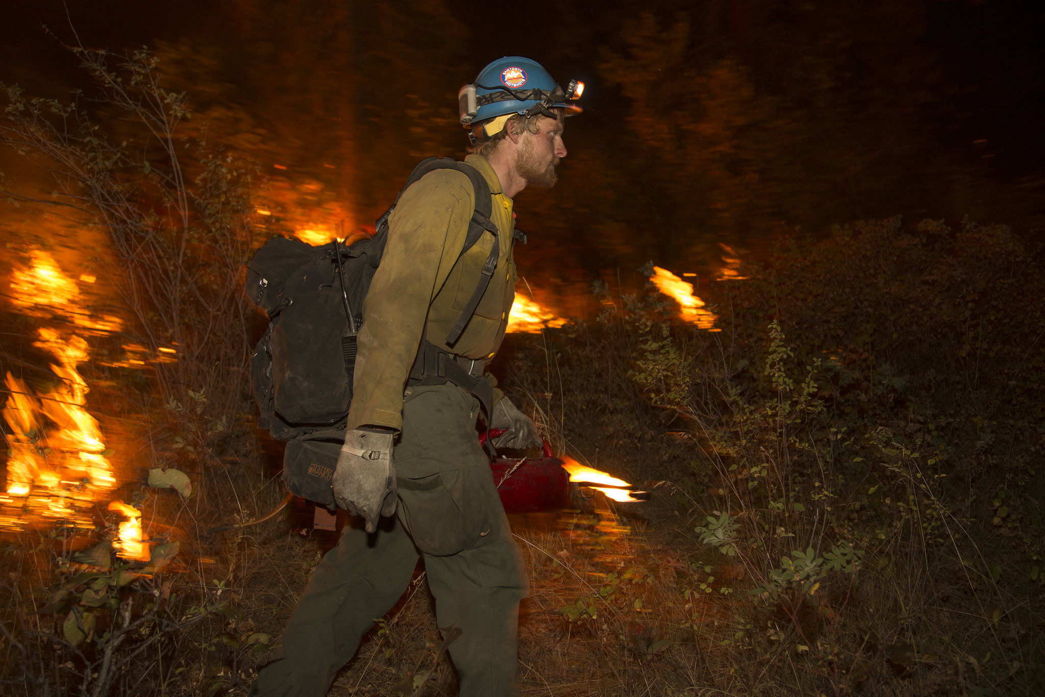 Interior Department Fires 4,400+ Public-Land Employees, Including Forest Service Workers, National Park Staff