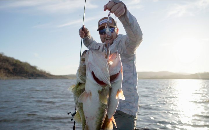 A bass angler holds up three fish caught on one rig.