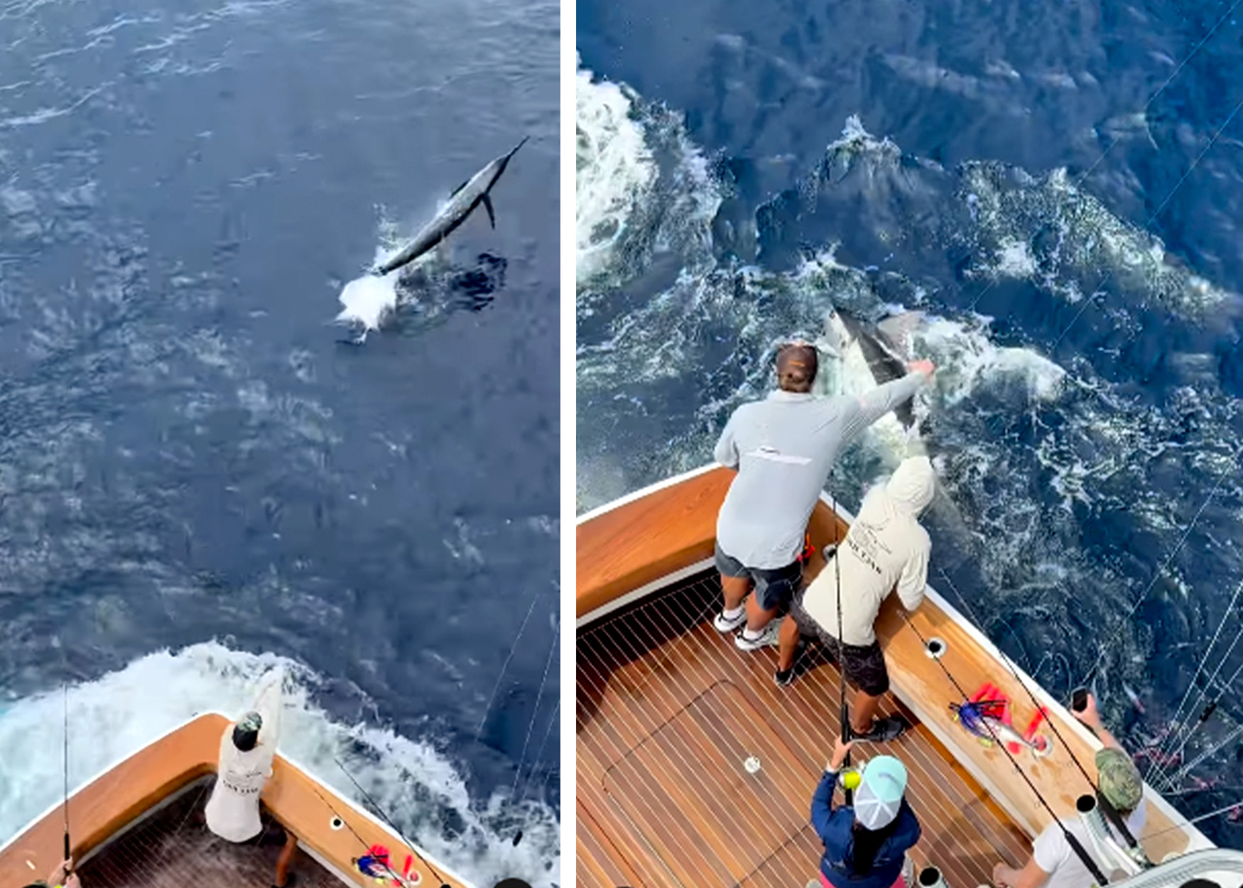 Watch: Anglers Toss Rod Overboard So They Can Land Two Blue Marlin at Once