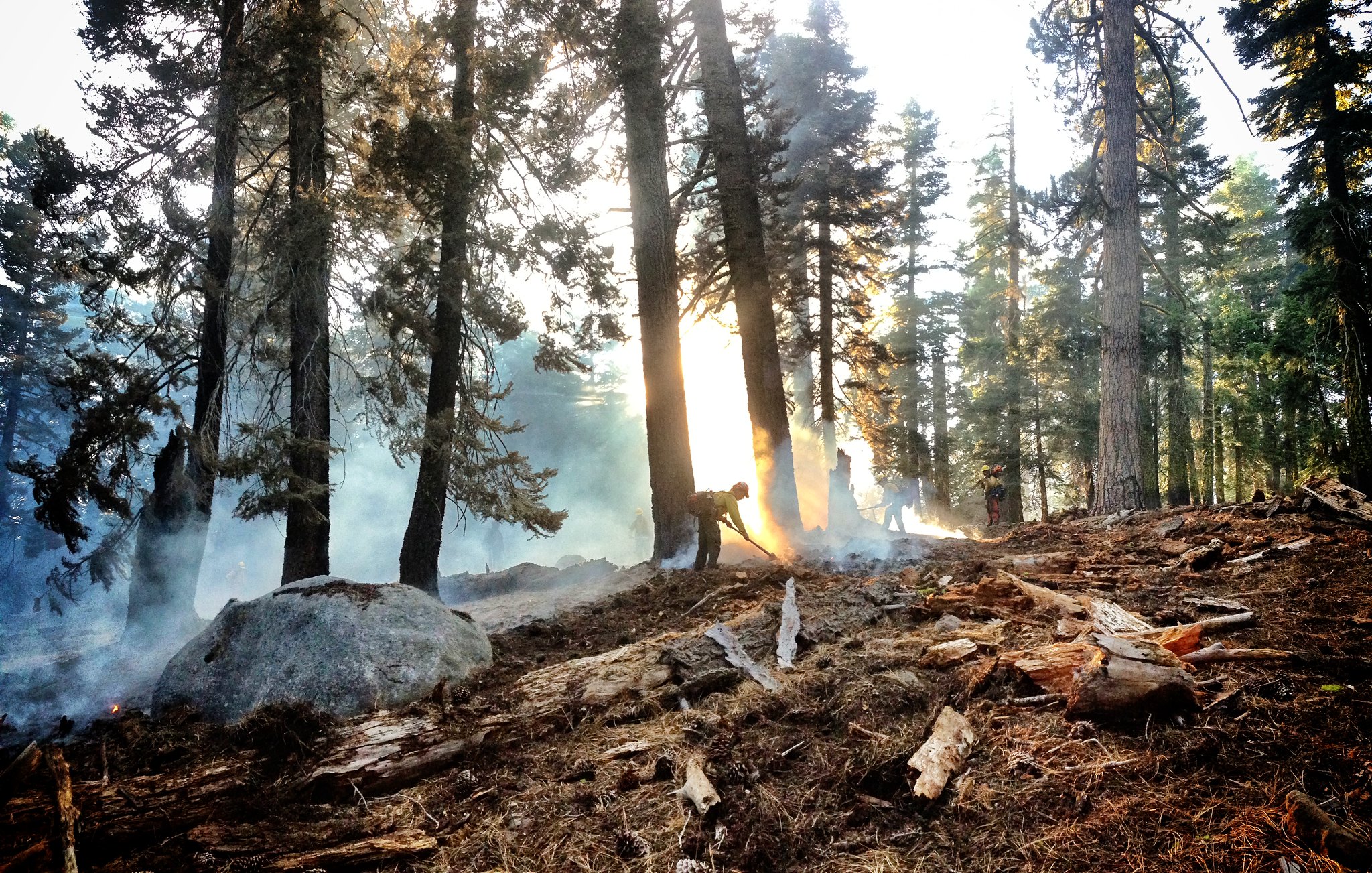 A BLM firefighter works a line.