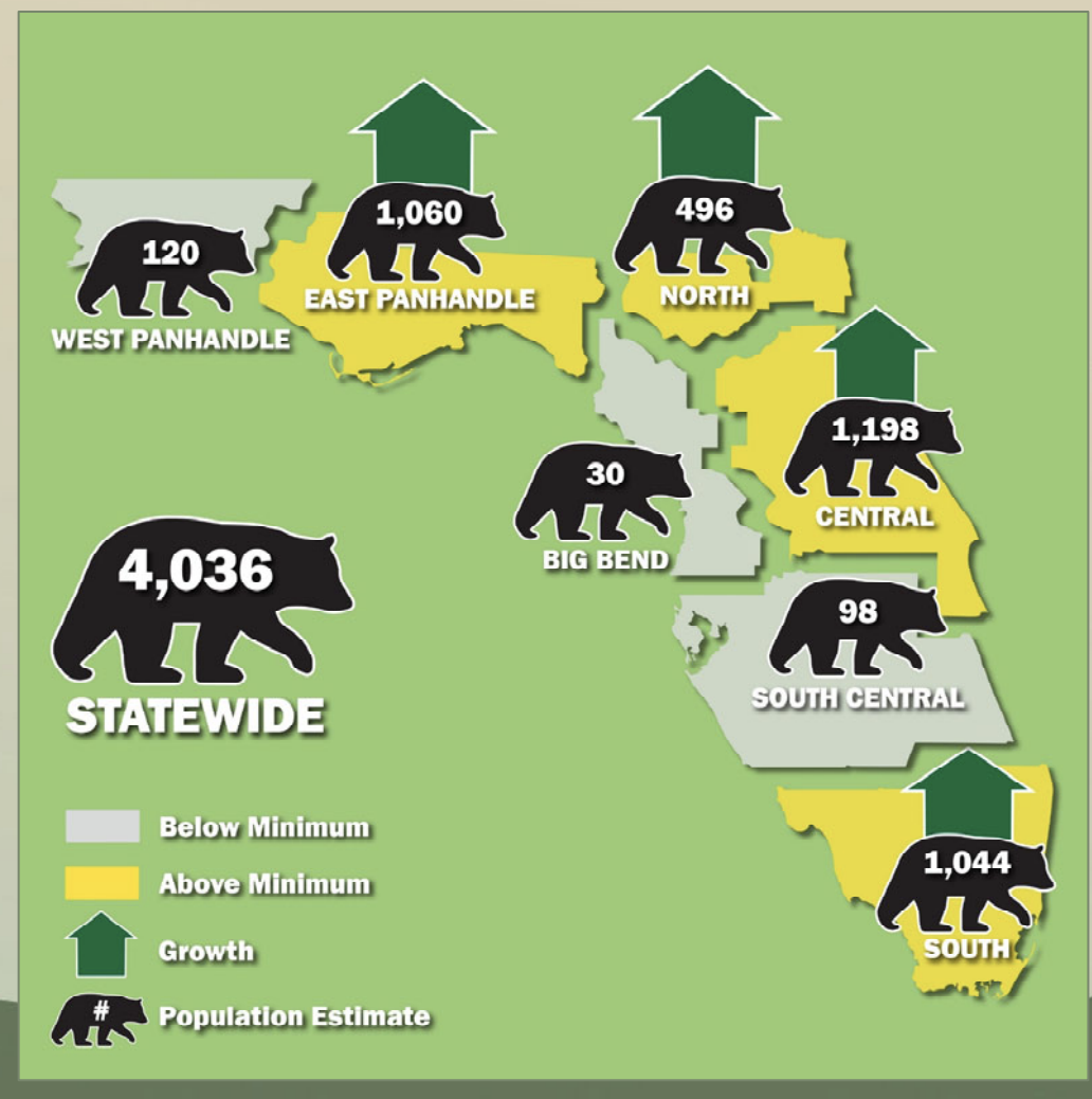 Black bear numbers in the state