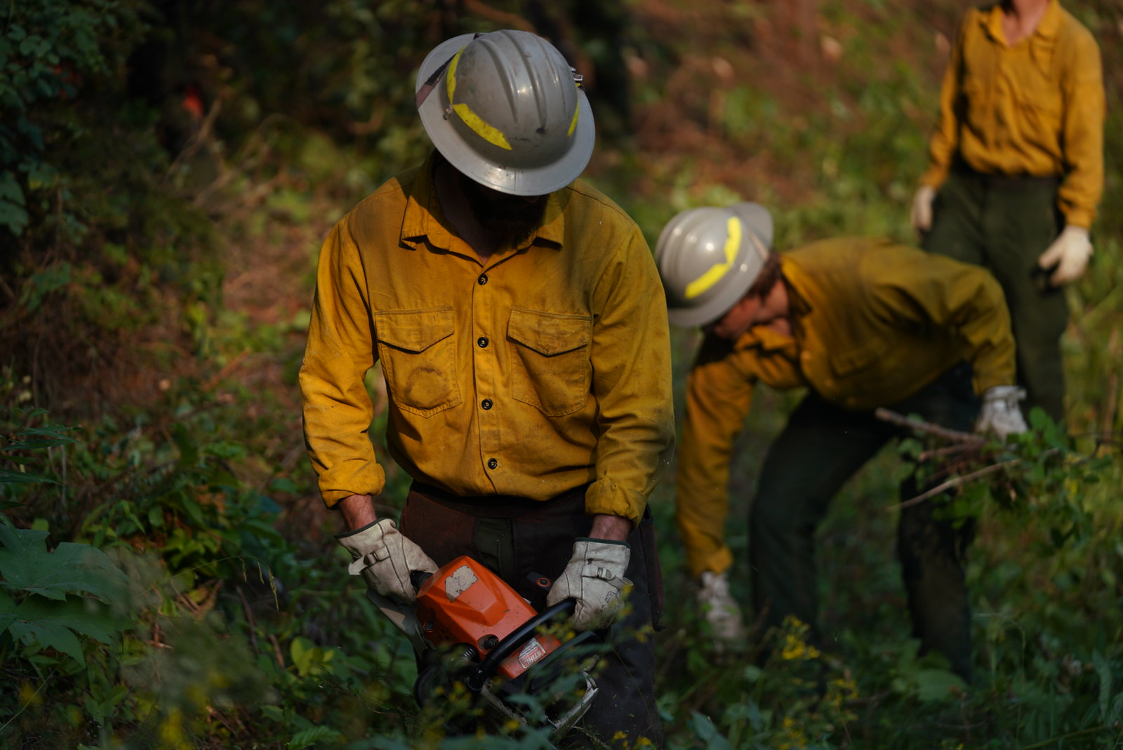 US Forest service worker cleans up brush