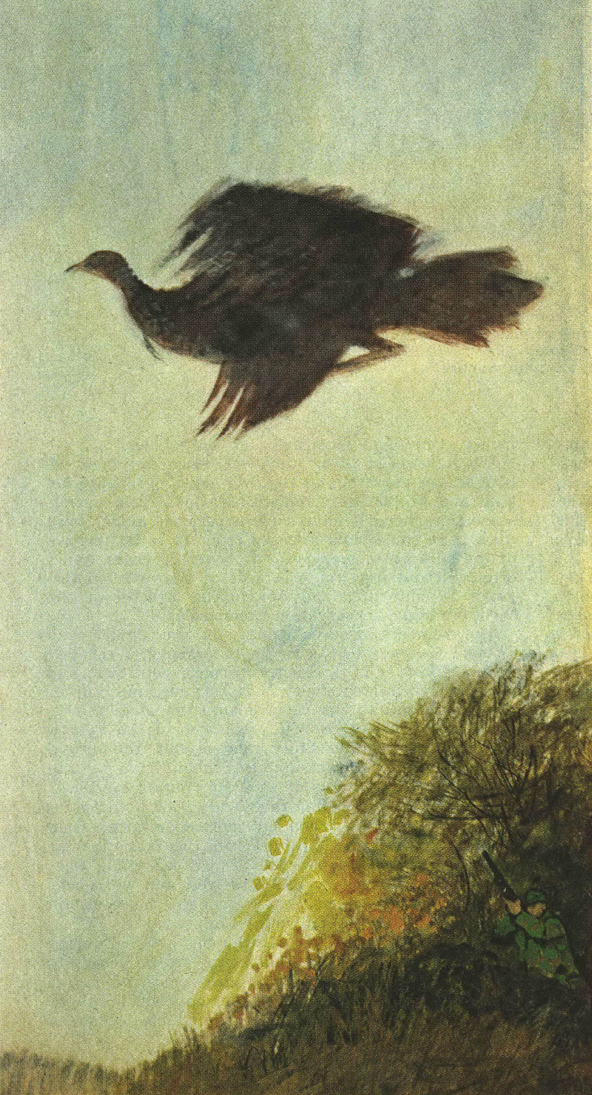 A turkey flying off the roost with a hunter below