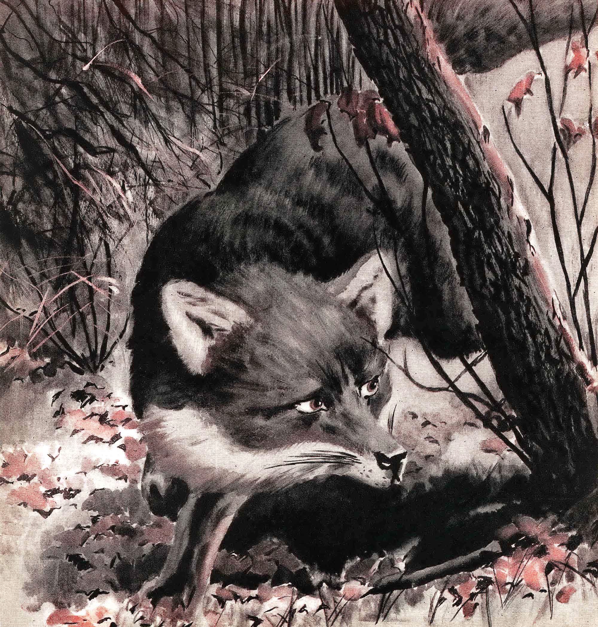 An illustration of a fox sneaking around a tree