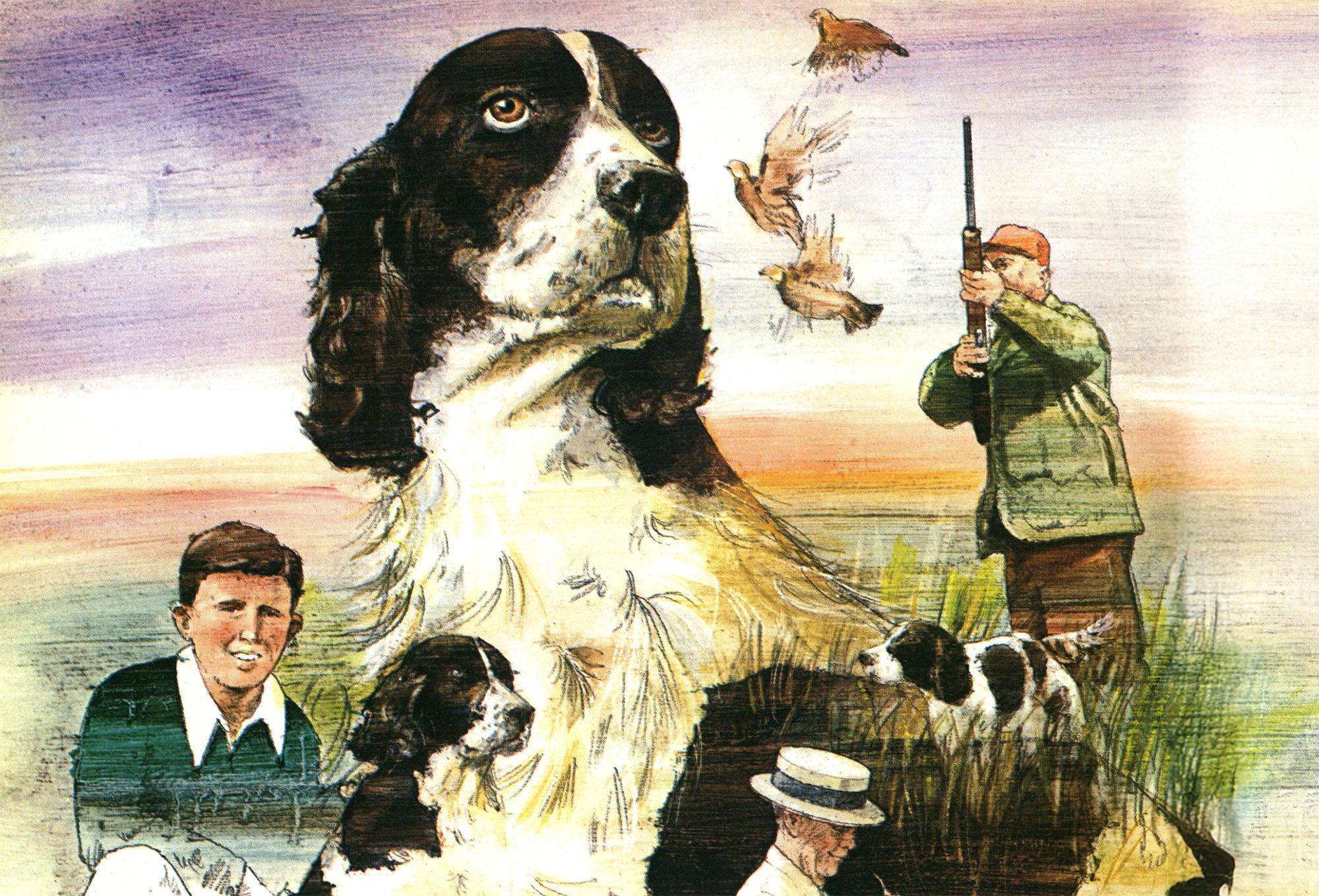 Jim the Wonder Dog, an Otherwise Ordinary Setter, Was the Smartest Dog Who Ever Lived