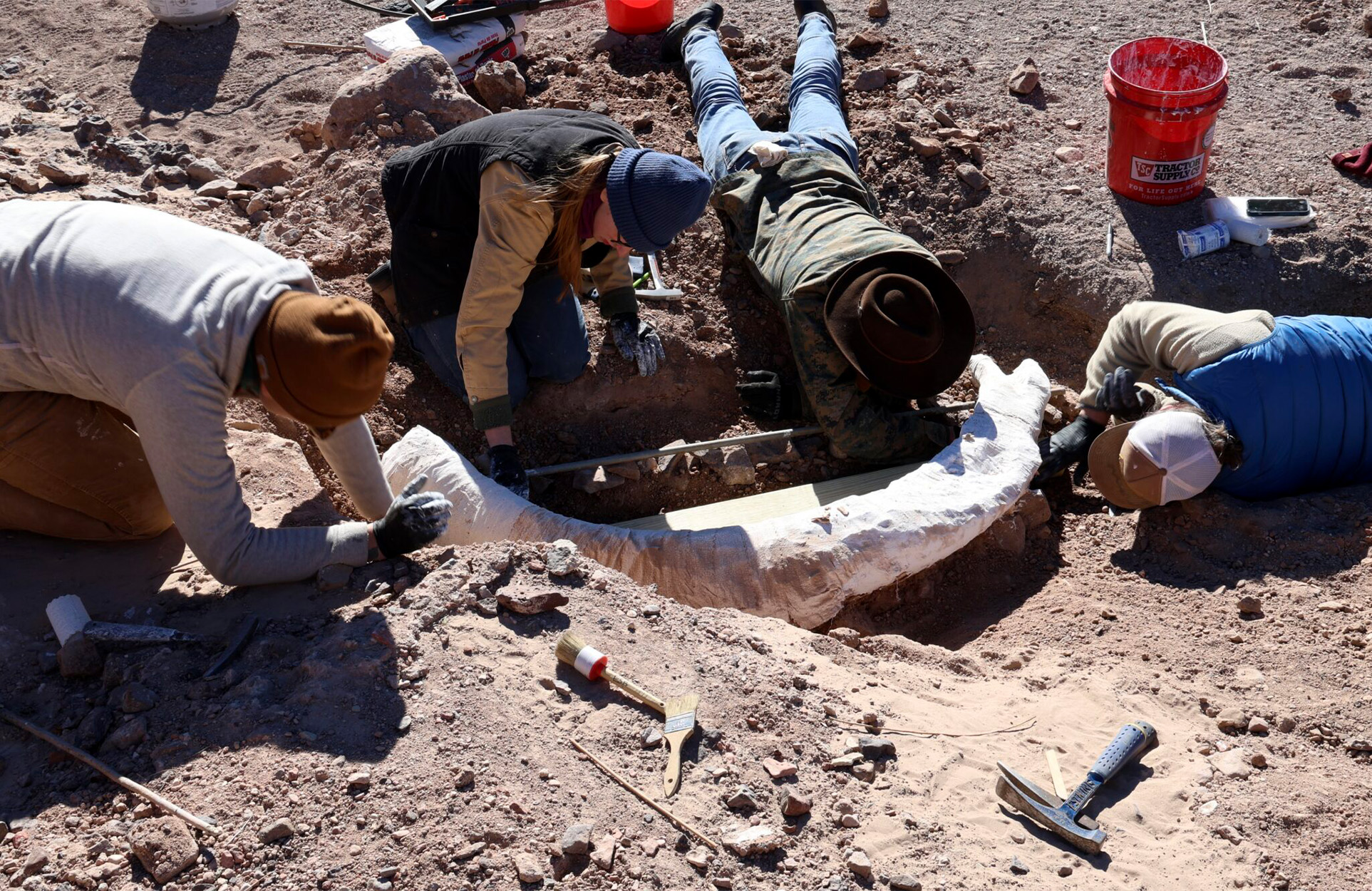 ‘I Couldn’t Believe It.’ Deer Hunter Finds Prehistoric Mammoth Tusk on West Texas Ranch